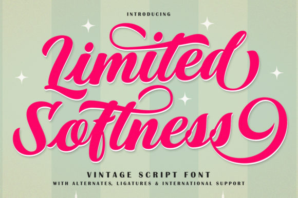 Evaluating the Limited Softness Font for Professional and Creative Projects